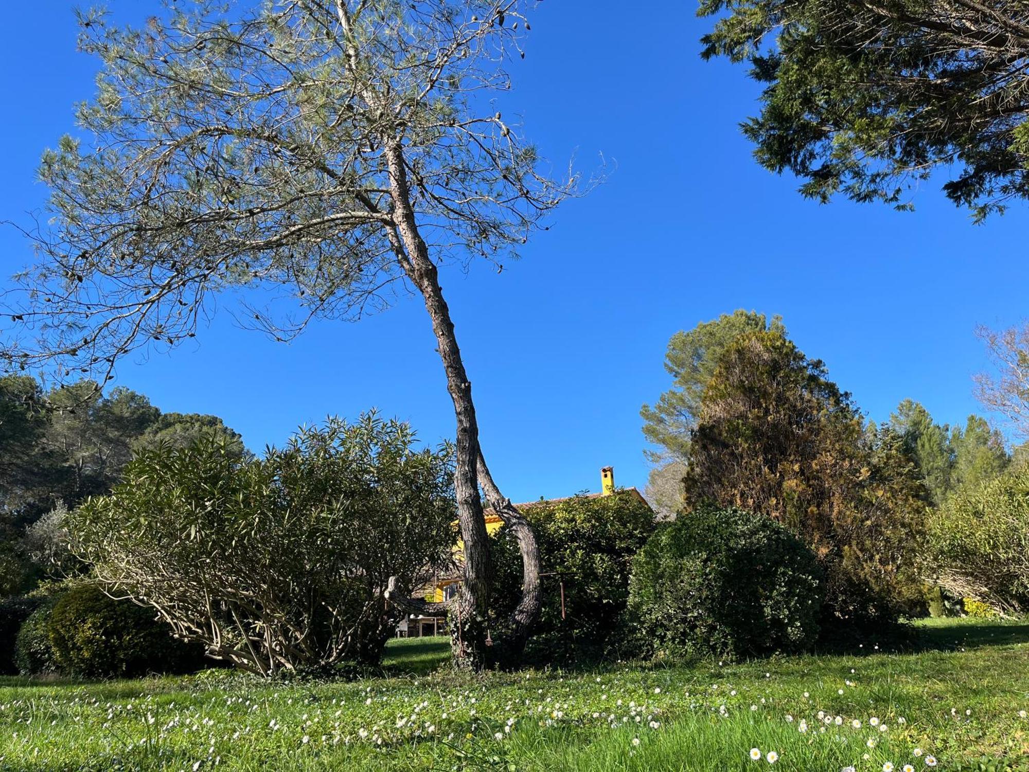 Villa De Miha Valbonne Exteriör bild